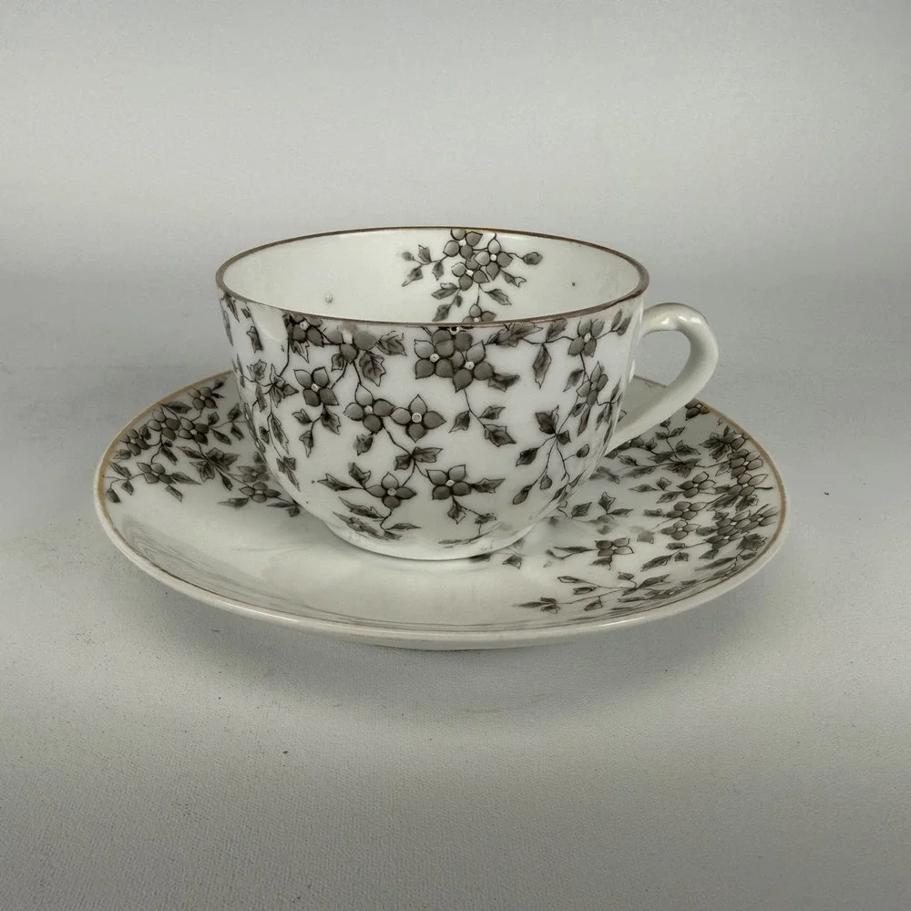 VINTAGE ANTIQUE CARLSBAD AUSTRIA TEA CUP‎ AND SAUCER- READ